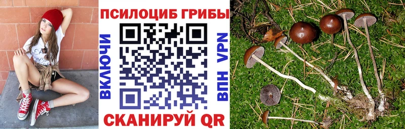 Галлюциногенные грибы прущие грибы  Ржев 